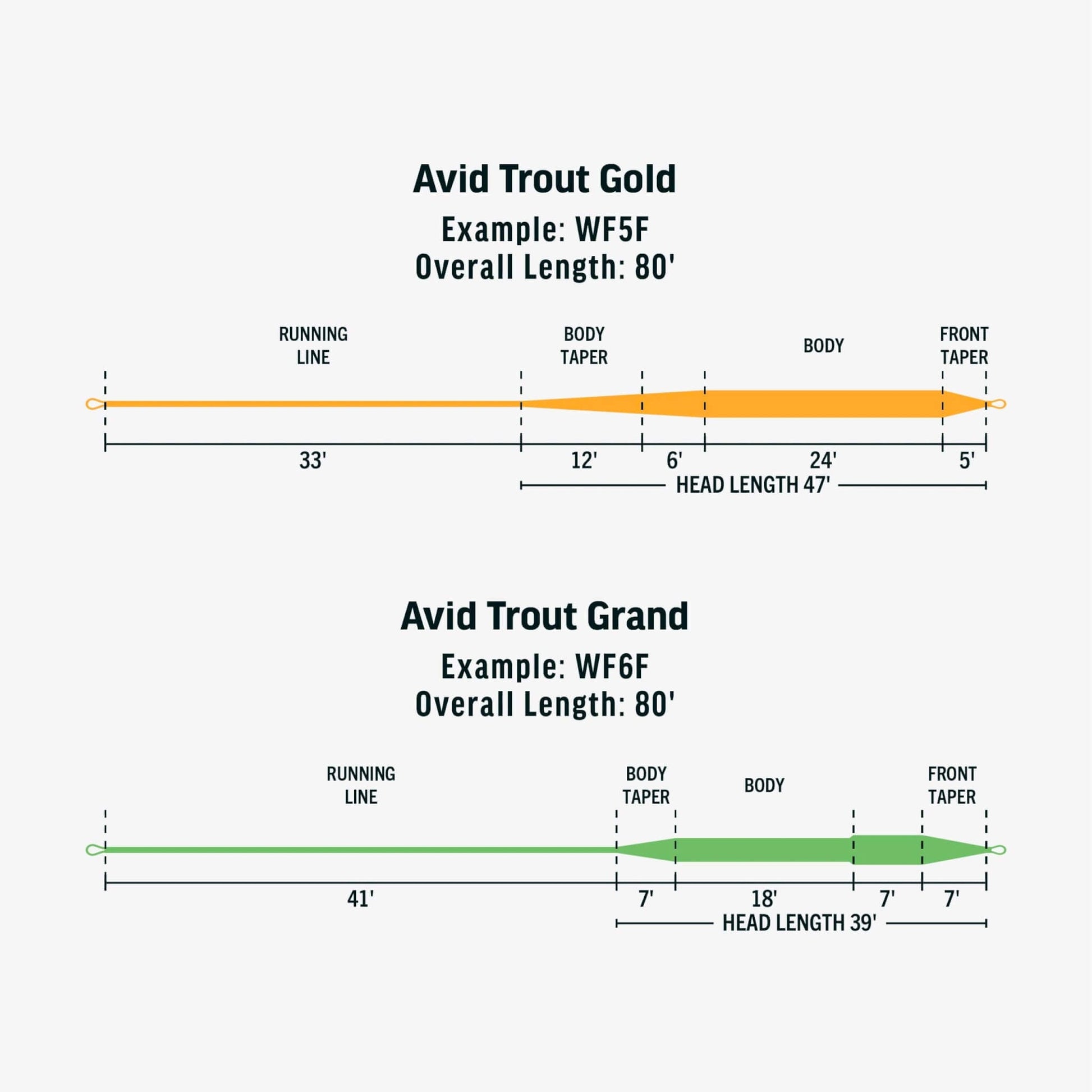 RIO Avid Gold Fly Line