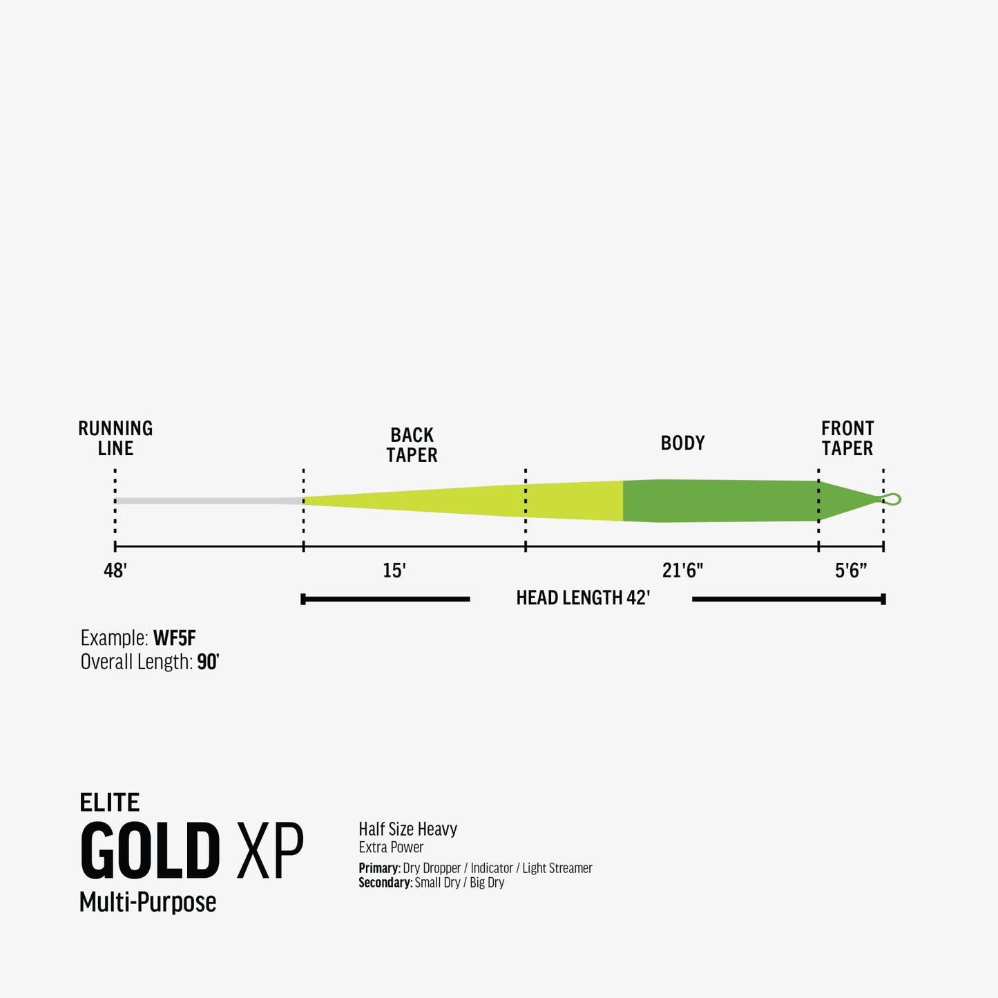 RIO Elite Gold XP Fly Line – Powerful Trout Fly Line