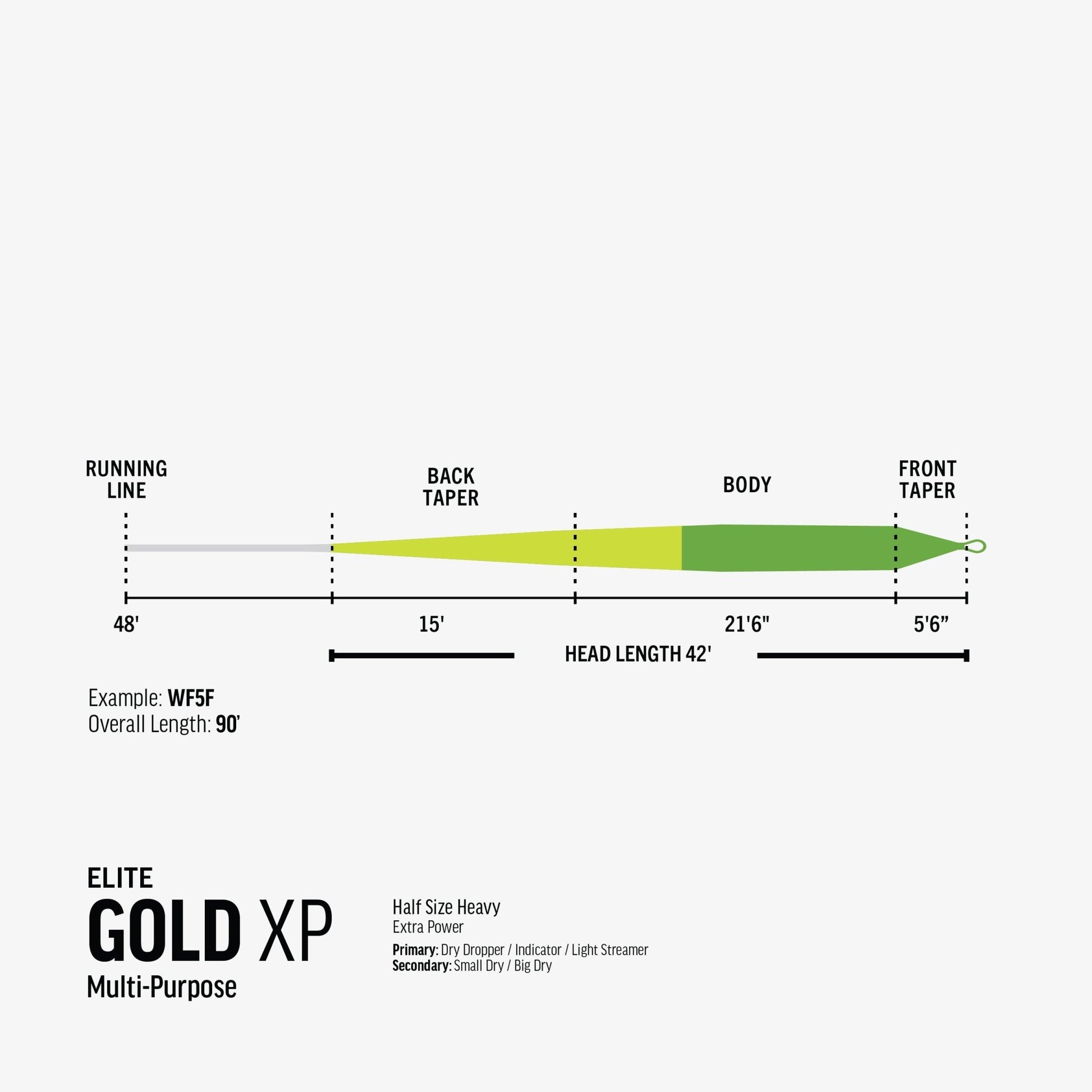 RIO Elite Gold XP Fly Line – Powerful Trout Fly Line