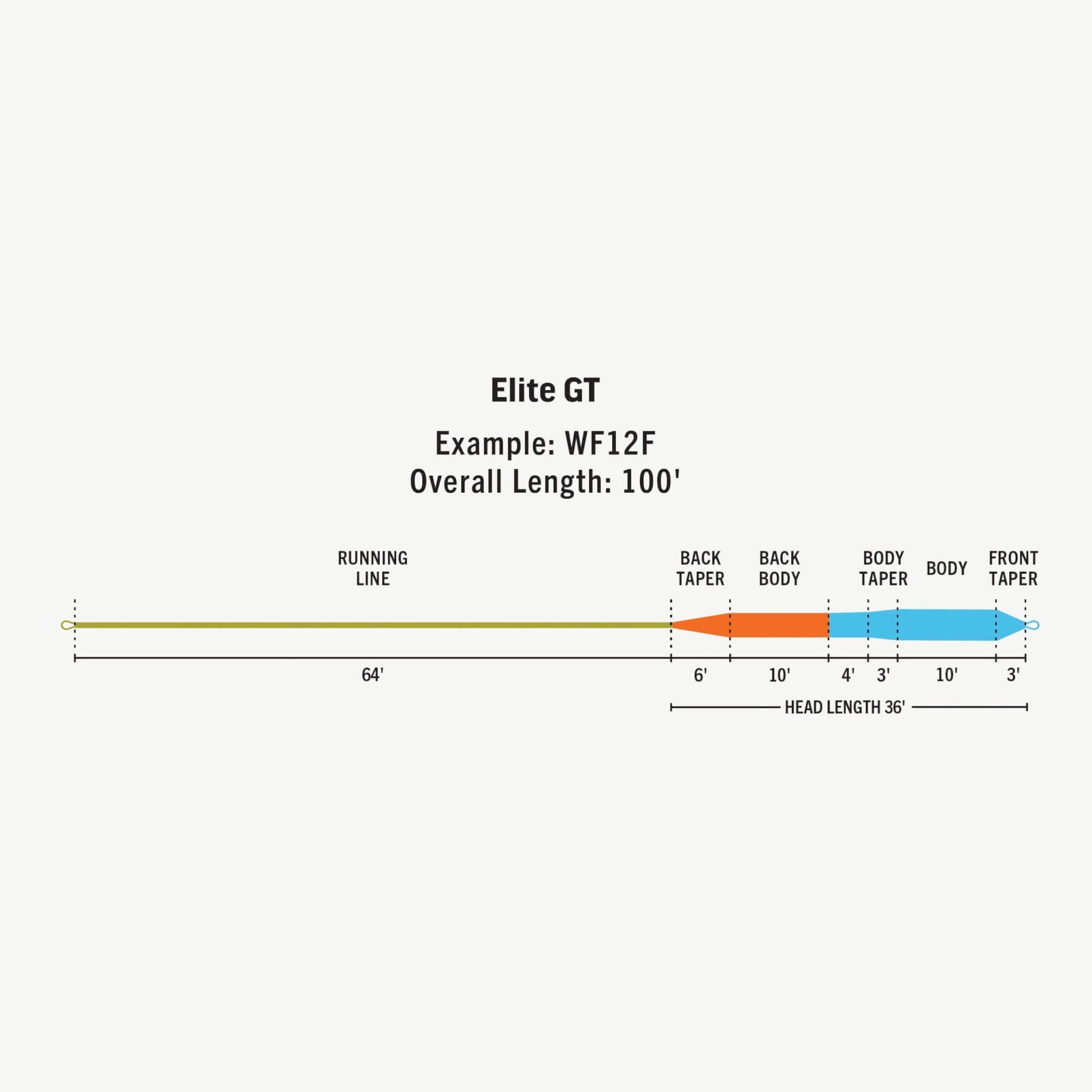RIO Elite GT Fly Line