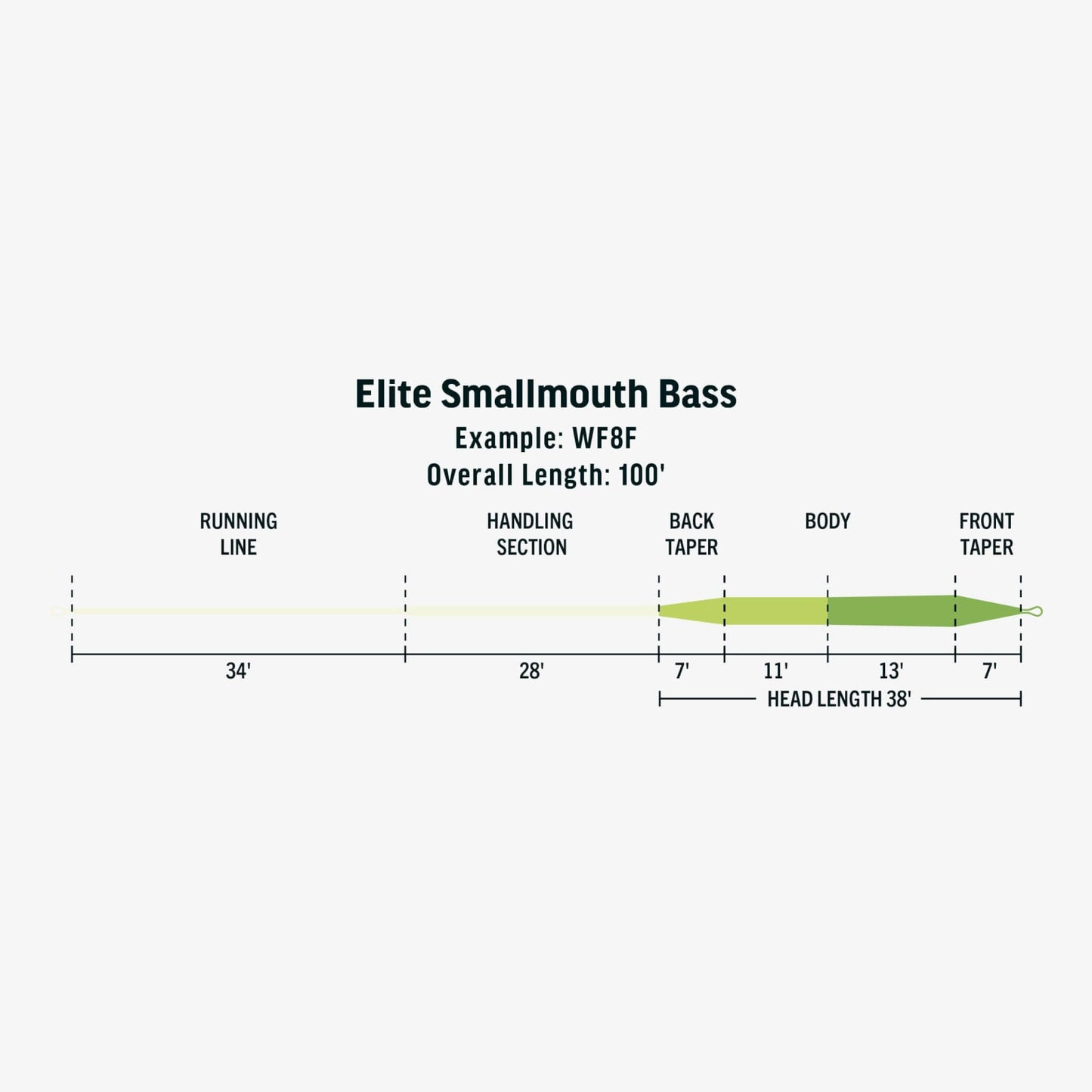 RIO Elite Smallmouth Bass Fly Line