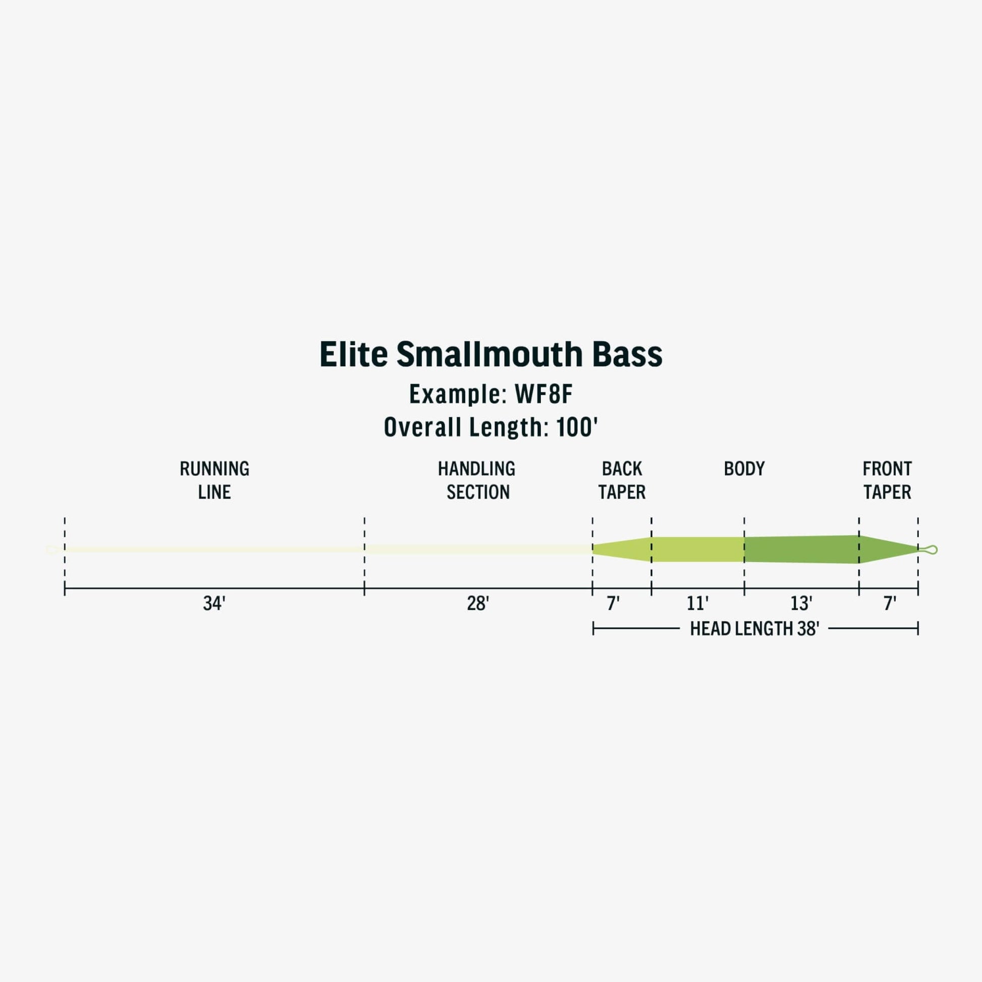 RIO Elite Smallmouth Bass Fly Line