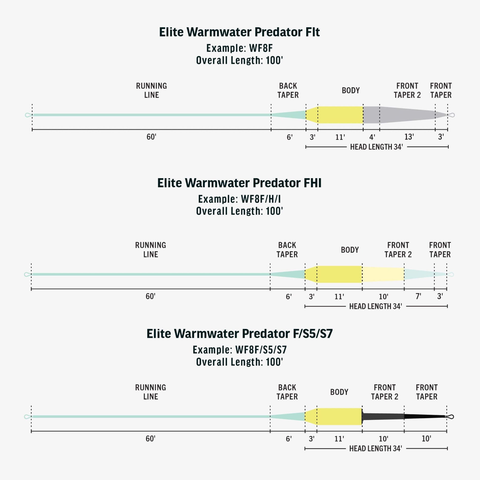 RIO Elite Warmwater Predator Fly Line