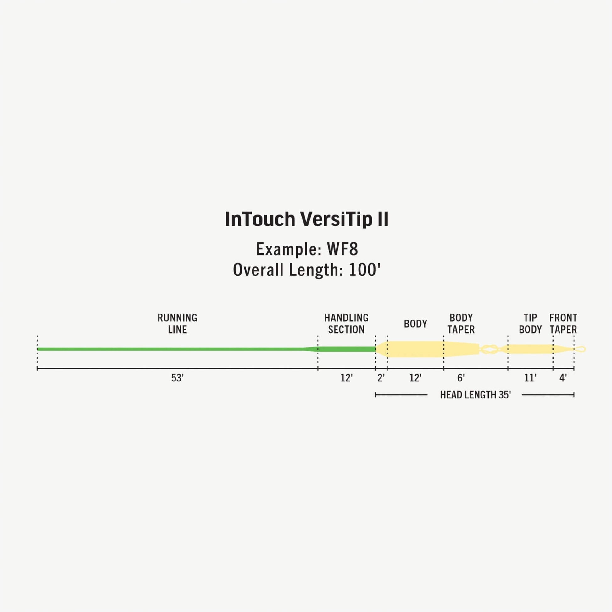 RIO InTouch Versitip Fly Line