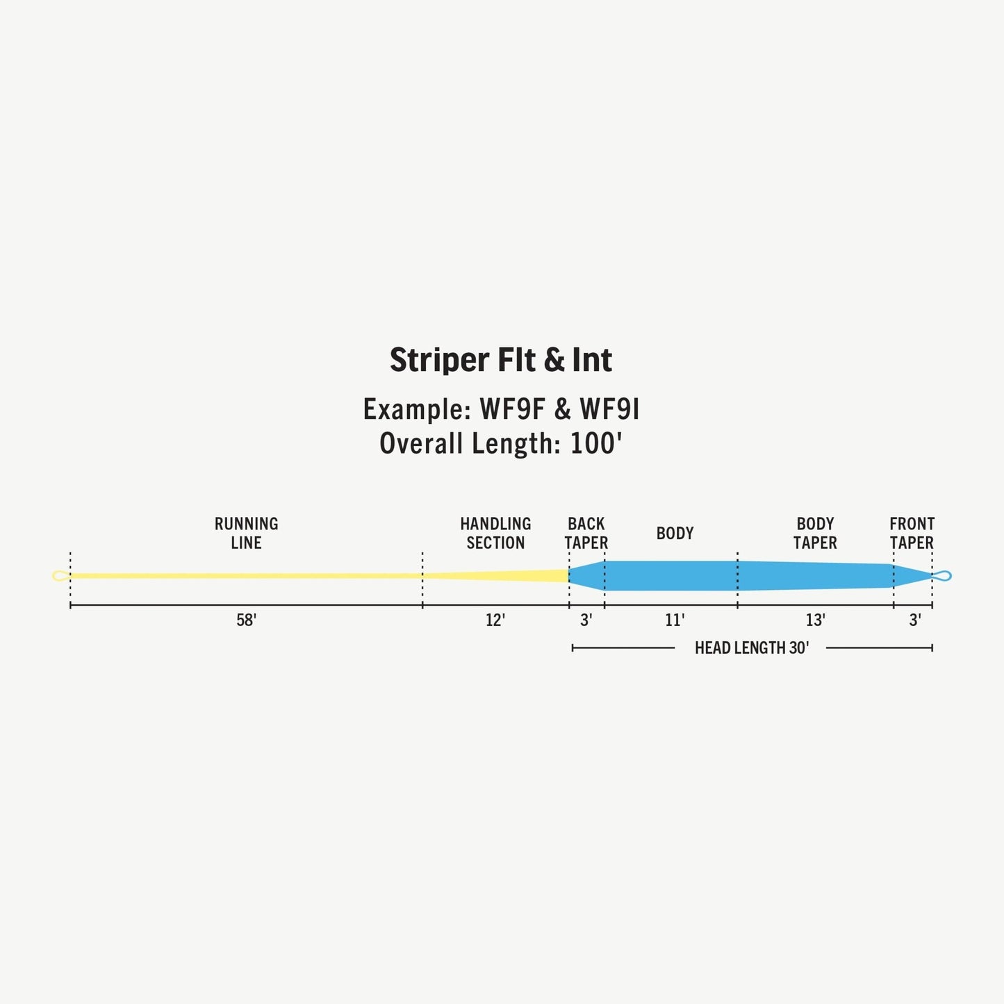 RIO Premier Striper Fly Line – Cold Saltwater Fly Line