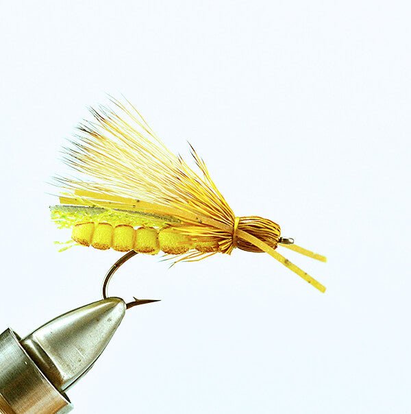 Rogue Stone - Golden