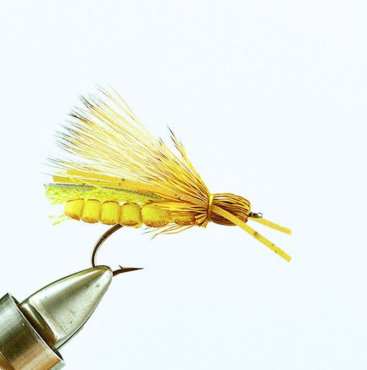 Rogue Stone - Golden