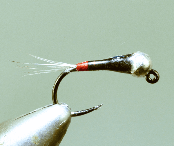 SR Bullet Frenchie BL