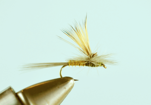 Tilt Wing BWO