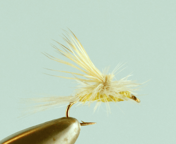 Tilt Wing PMD - Premium Fly for Successful Trout Fishing