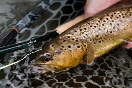 Winston Air 2 Fly Rod