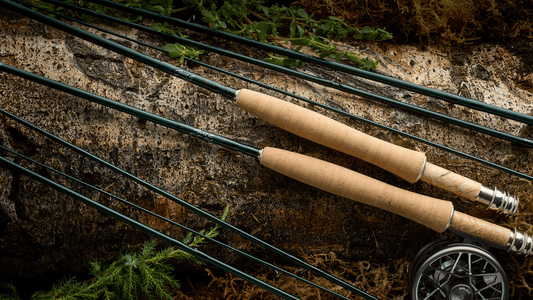 brown trout fly fishing rods Scott Rod Murray's Mountain Outfit and power needed for the fishing you love Brown Trout Best Fly Rod