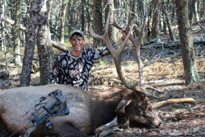 Montana Archery Elk Hunting