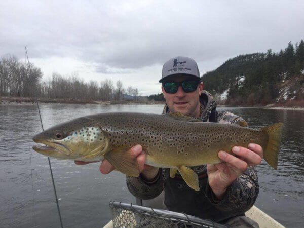 Clark Fork River Brown Trout