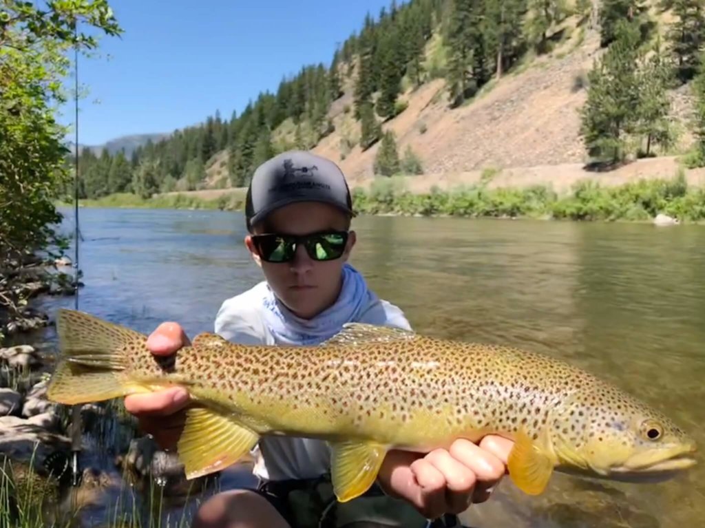 Blackfoot River Fly Fishing Brown Trout