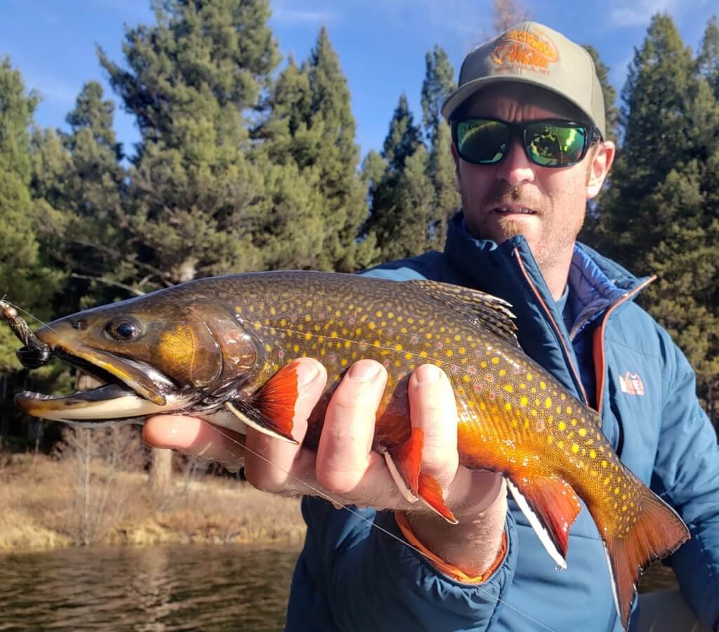 Montana Brook Trout Fly Fishing
