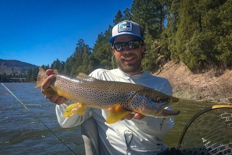 Montana Fly Fishing Brown Trout