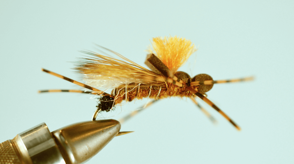 Egg Head Stonefly Nymph GOLDEN with Orange Bead Size 8 per 3