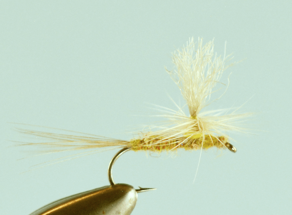Iron Blue Fishing Flies Dry & Barbless,18 Duns Pale Morning Olive 