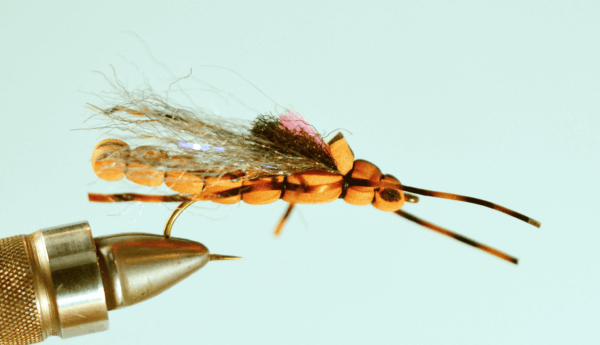 Top 7 Salmon Fly Patterns - The Missoulian Angler Fly Shop