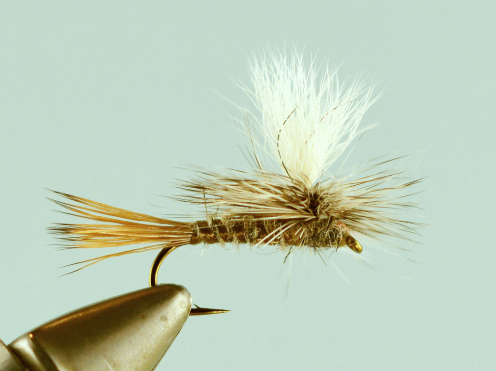 Size 14 Brown Hackle & Peacock Dry  Fly Fishing Flies 2 Flies