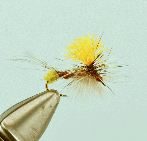 12 Thorax P.M.D #22 Fishing Flies Brookside Pale Morning Dun 