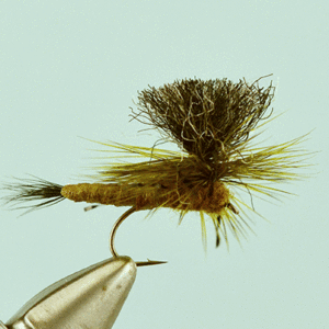 Mayfly Nymphs for Sale | Mayfly Dry Flies