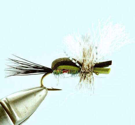 Fly Fishing Flies Bass, Bream, Trout, Salmon Elk Hair Caddis Royal x 6 