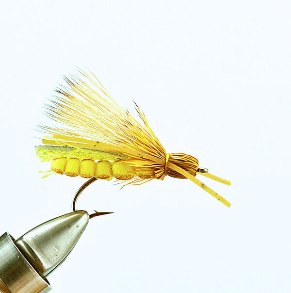 Rogue Stone - Golden - The Missoulian Angler Fly Shop