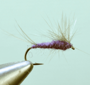 Swishers Clumpa Purple