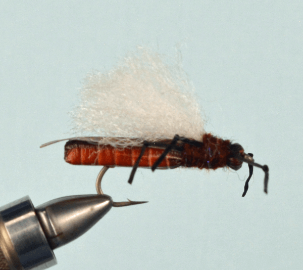 True Salmon Fly