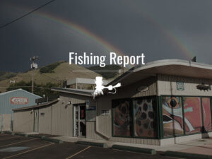 Missoula Fly Fishing Report
